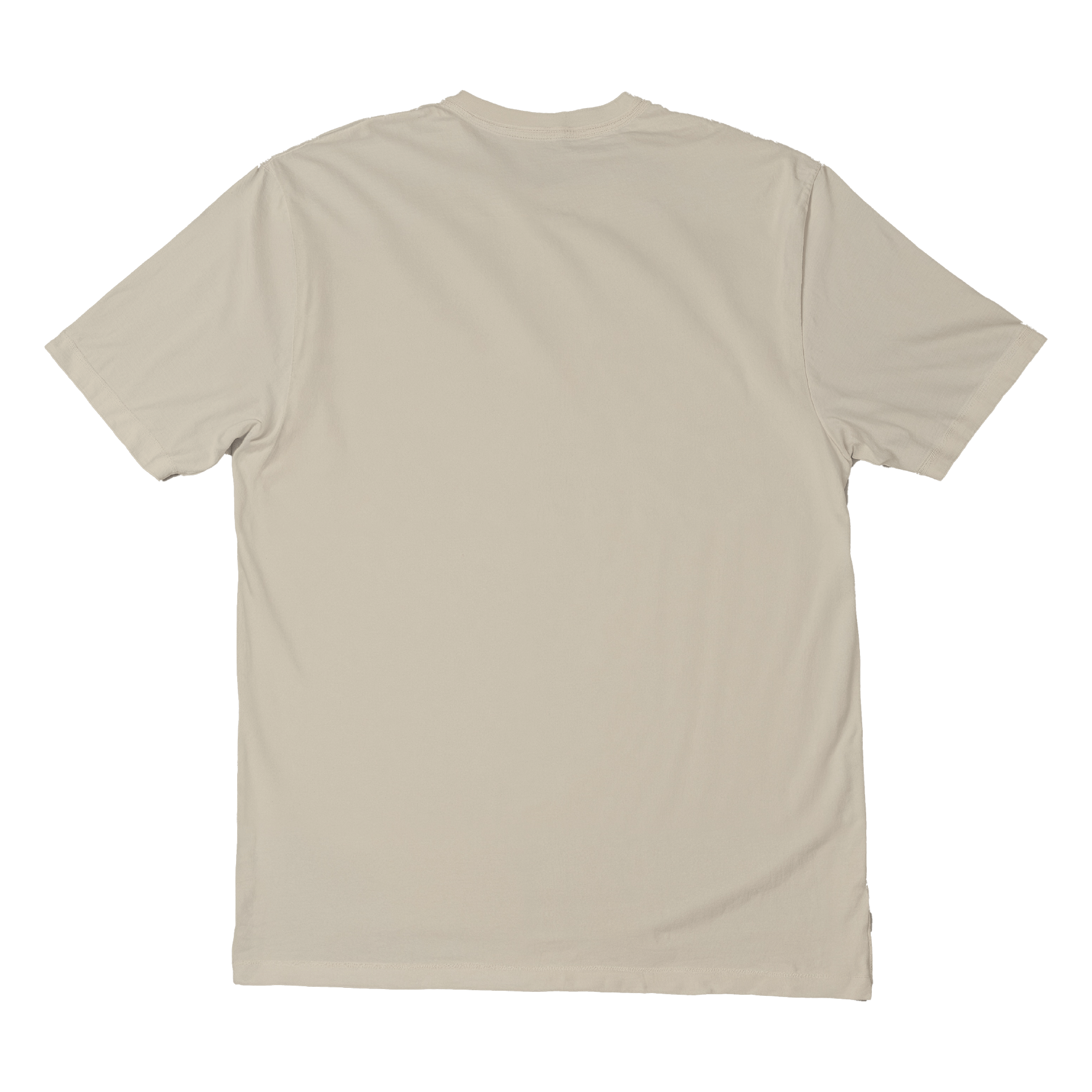 Short sleeves t-shirt in cotton color cream with logo