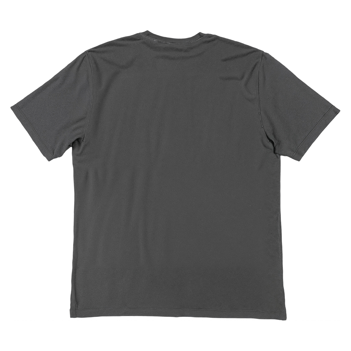 Short sleeves t-shirt in cotton color gray with logo