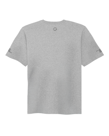 Short sleeves t-shirt in cotton color gray with logo