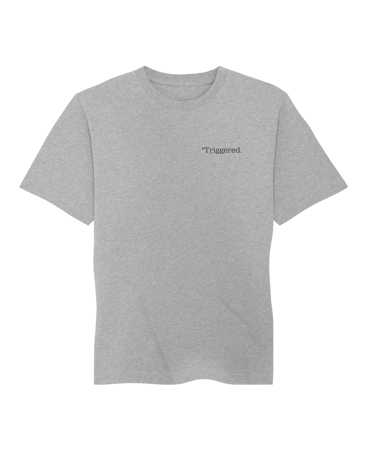 Short sleeves t-shirt in cotton color gray with triggered text