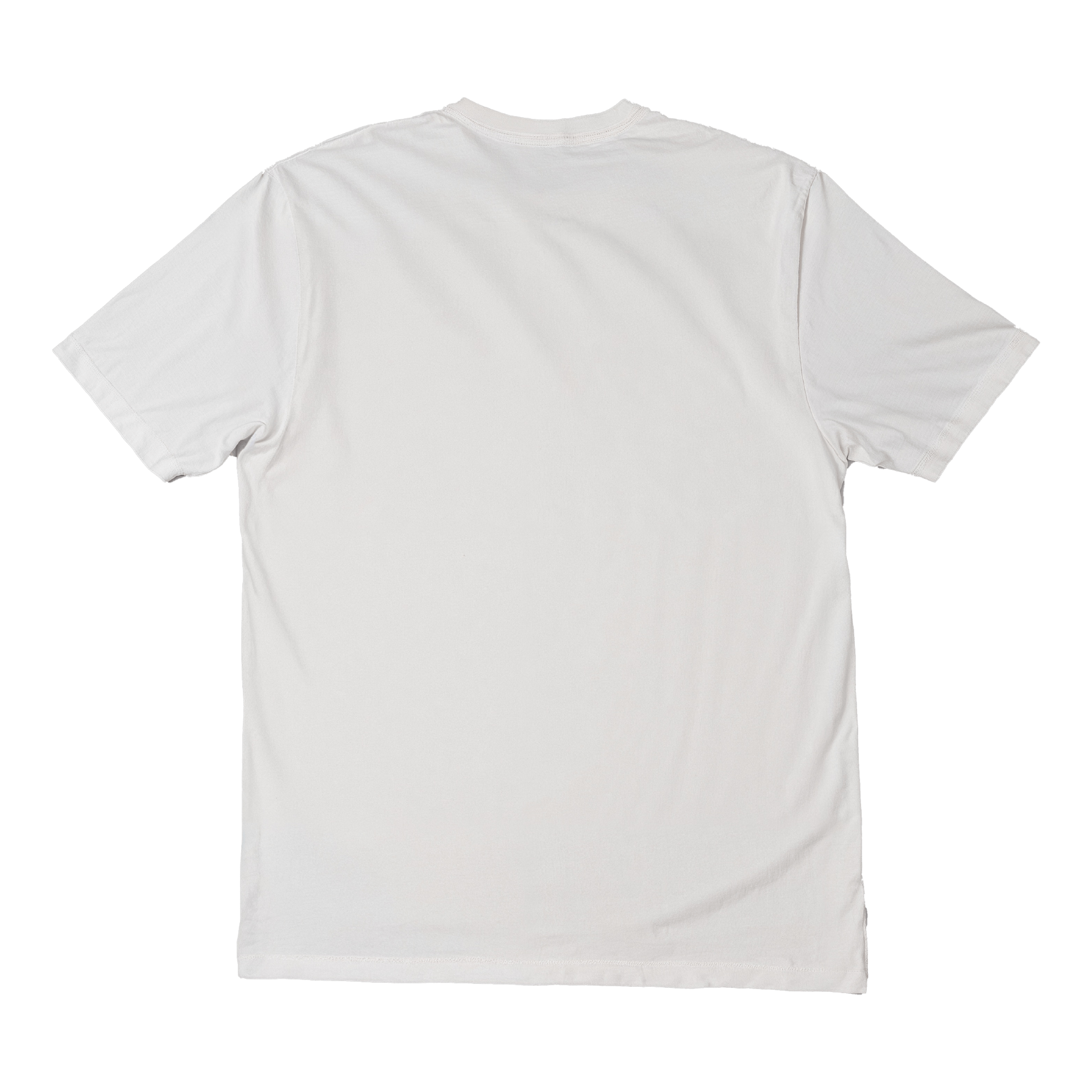 Short sleeves t-shirt in cotton color white with logo